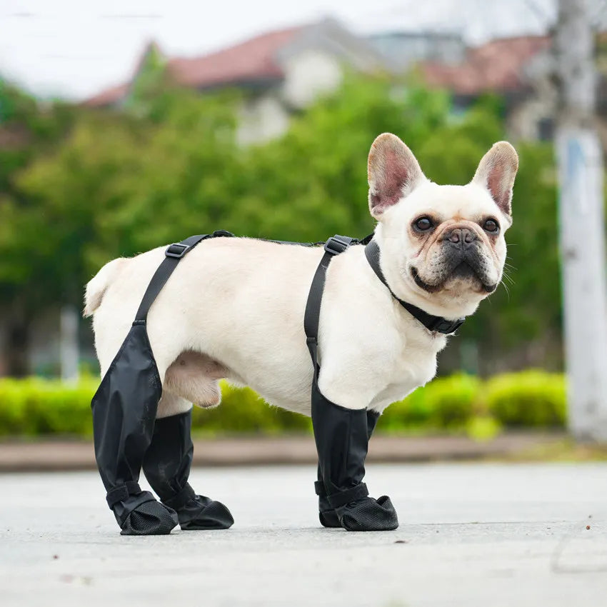 Softwoofs Allwetter-Pfotenschuhe