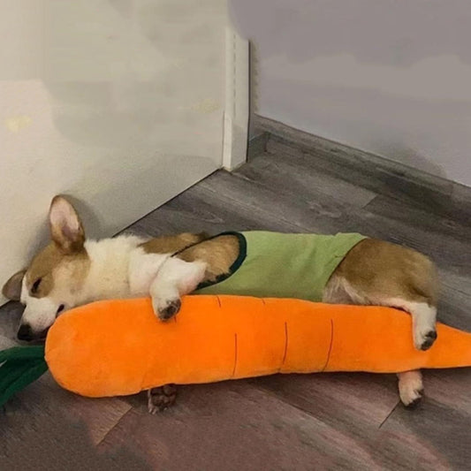 Calming Carrot