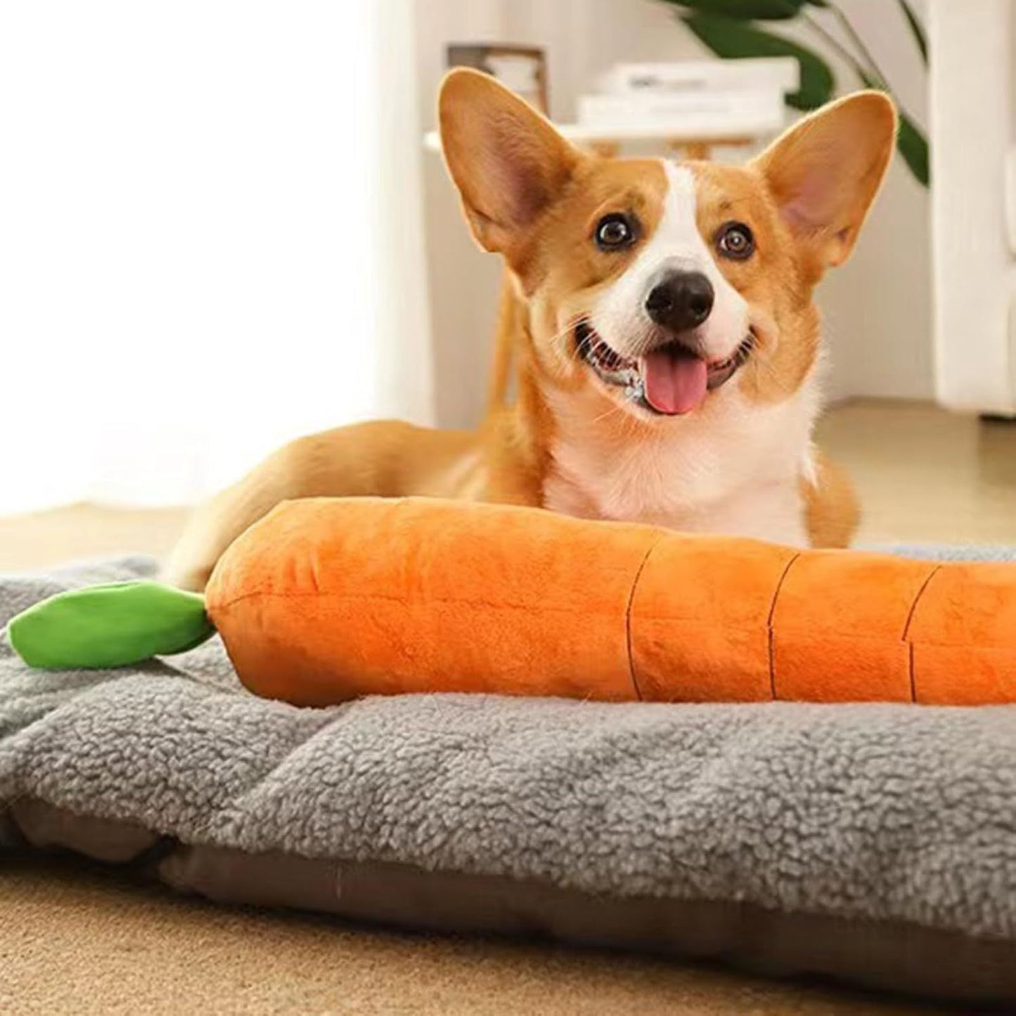 Calming Carrot